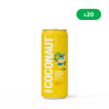 COCONAUT_320_PINEAPPLE_20szt_WWW.png