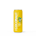 COCONAUT_320_PINEAPPLE_WWW.png